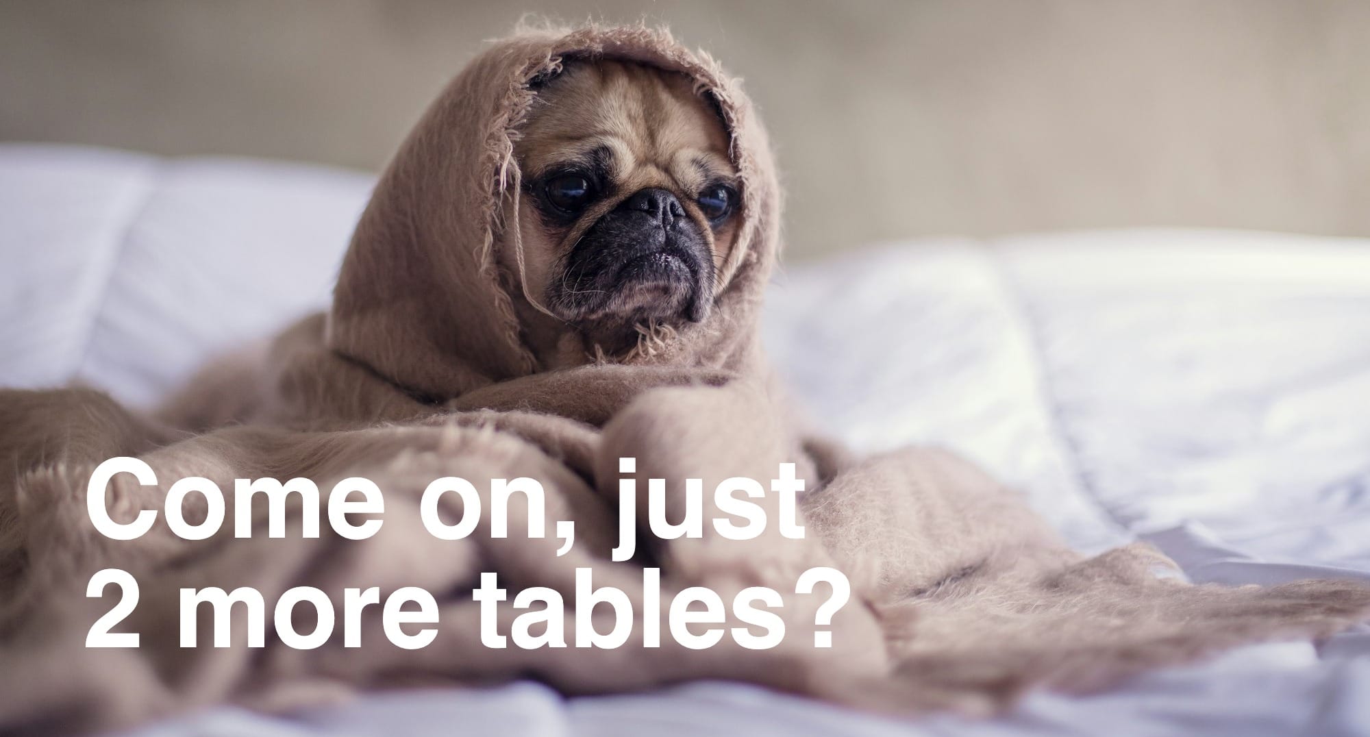 pug covered with blanket on bedspread